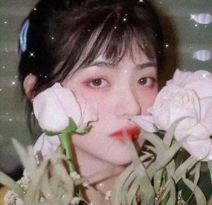 复婚