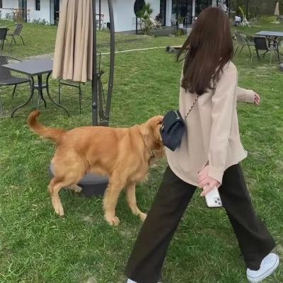 活着最重要