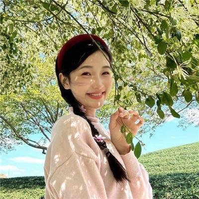 连花仙子